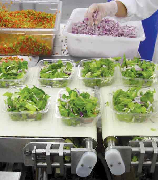 Pw 9054 Green Cuisine Hand Packed A