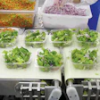 Pw 9054 Green Cuisine Hand Packed A
