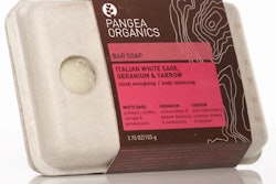 Pw 9313 Web Pangea Oct 2006