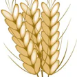 Pw 9733 P08p87a