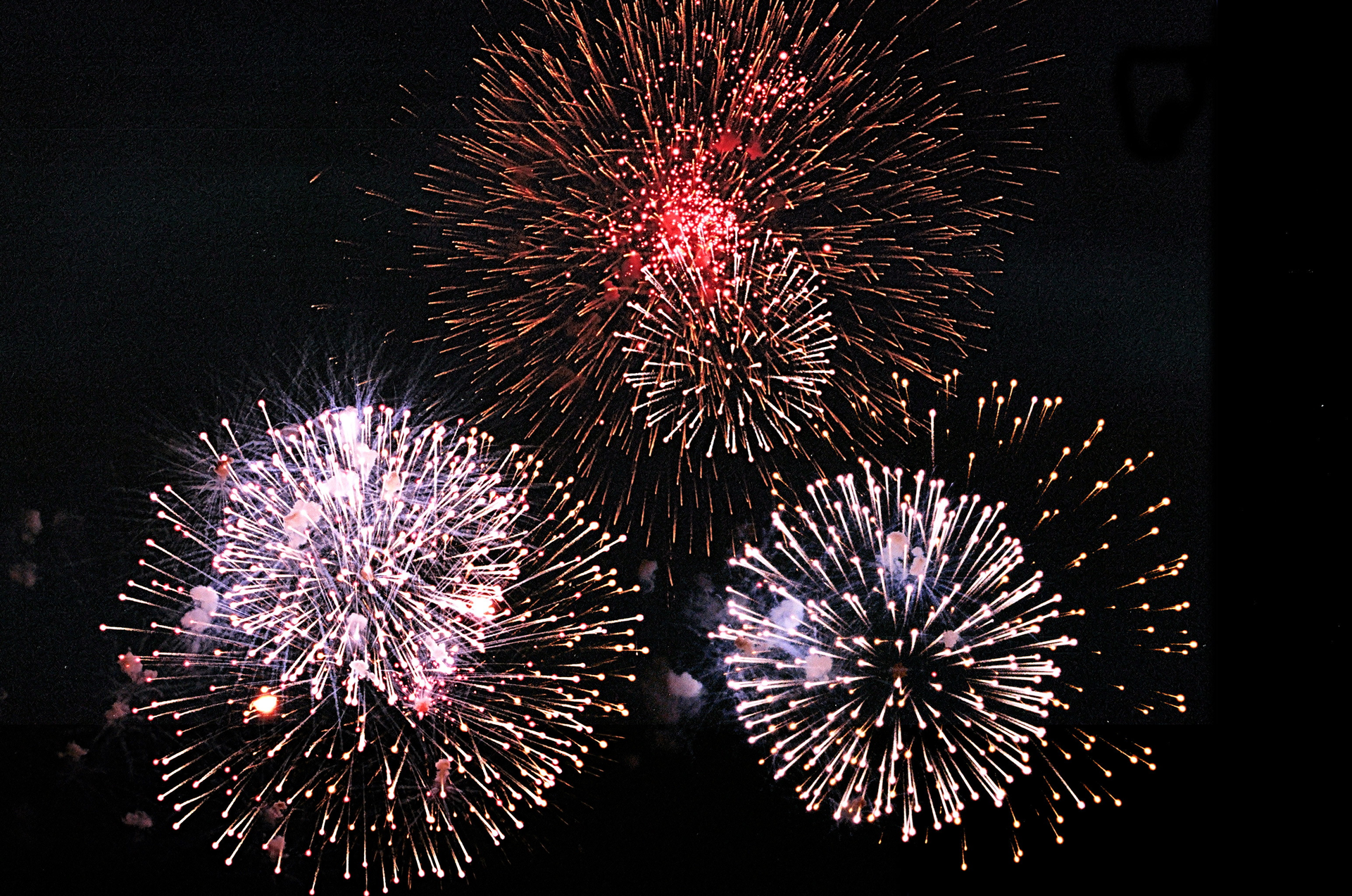 15 minutes of fireworks equal same dioxins as 100 years of WTE facility