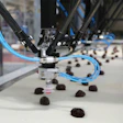 With the use of smart vision software, the four robots at Ozersky Souvenir accurately and gently pick irregularly shaped chocolates and place them on a separate conveyor at a rate of 360/min.