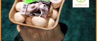 Earthcycle Packaging World