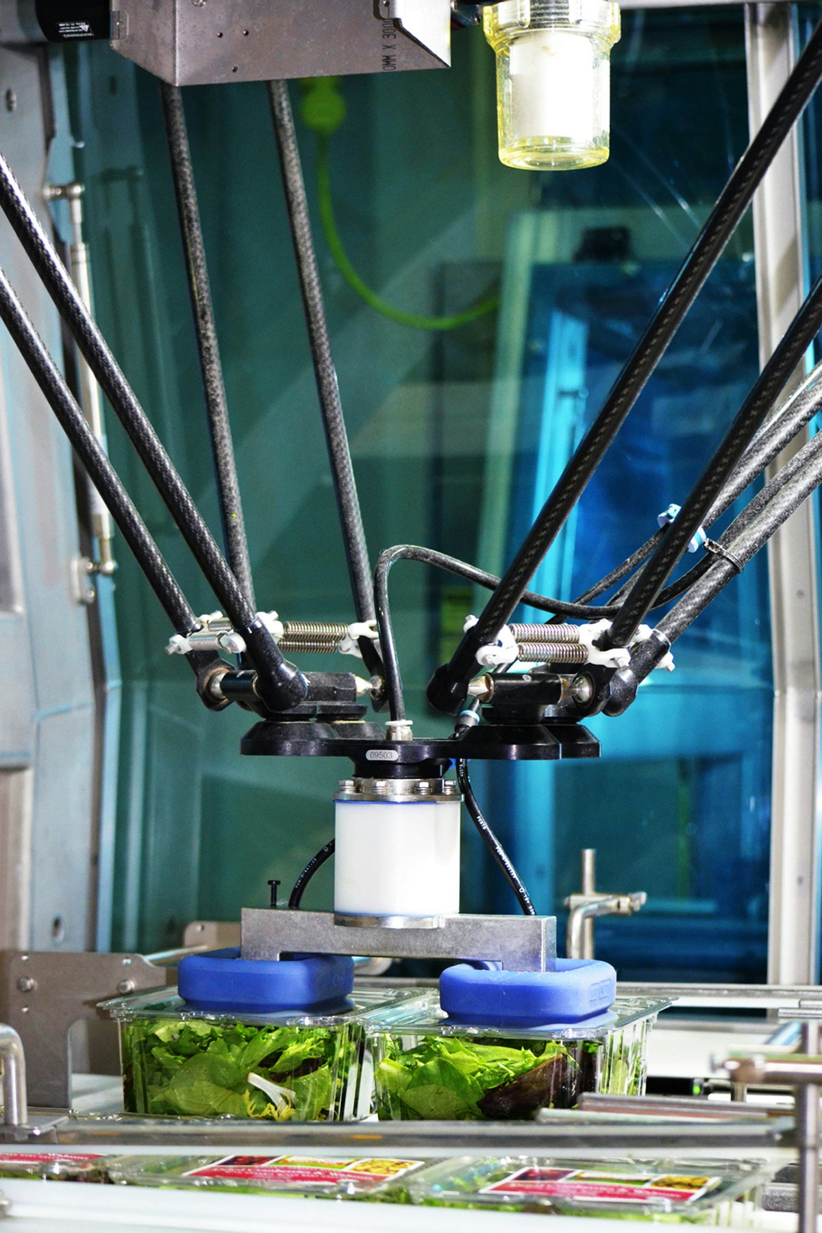 Earthbound Farm installs robotic systems to casepack produce