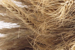 Pw 53401 Wheat Straw