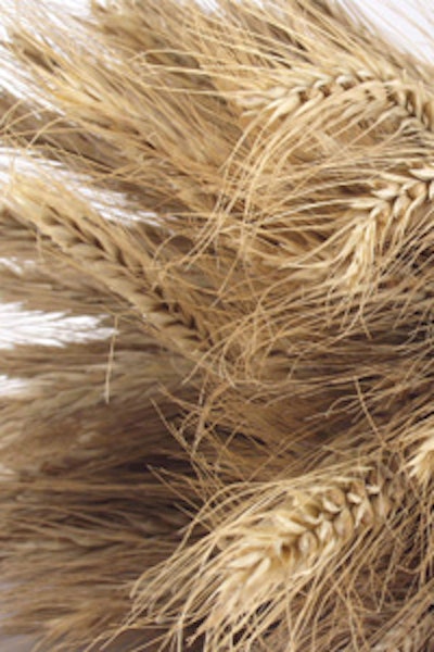 Pw 53401 Wheat Straw