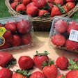 Driscoll’s, a major marketer of fresh berries, incorporates the pre-labeled clam shell packaging approach.