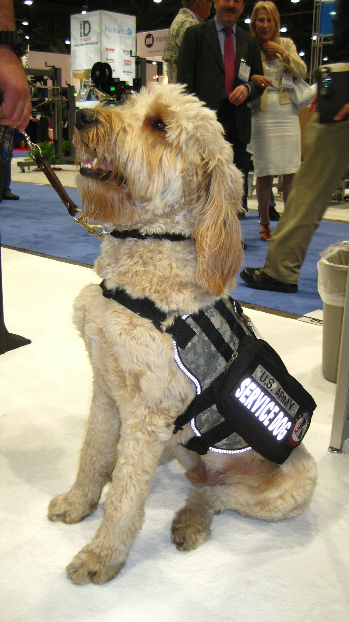 Fourlegged Pack Expo attendee turns heads Packaging World