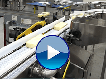 Pw 58299 Cheese Video Image