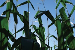 Pw 59037 Istock 000001178864medium