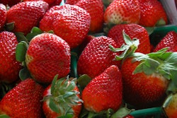 Pw 59219 125378 1952