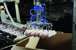 LARGE-SCALE DISTRIBUTION. The four robot arms are used to pack cases that vary in size to accommodate volumes from 96 eggs to 1,400 eggs.