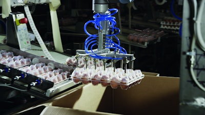 LARGE-SCALE DISTRIBUTION. The four robot arms are used to pack cases that vary in size to accommodate volumes from 96 eggs to 1,400 eggs.