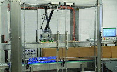 Robotic packer for flexible packages