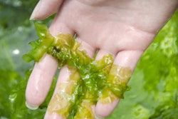 Algae is being used as feedstock to create a low-carbon polymer that, if used by the soft-drinks sector, could deliver benefits up to $1.3 billion.