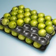 Dolco foam apple trays