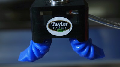 The soft polymer gripper is patterned so that when air fills the channels inside, the fingers wrap around and grip objects.