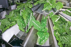 At the top of the combination scale, product is conveyed to the pre-feed hoppers via the radially positioned feed trays.