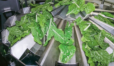 At the top of the combination scale, product is conveyed to the pre-feed hoppers via the radially positioned feed trays.
