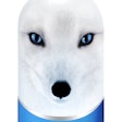 Pw 323637 Snowfox Vodka