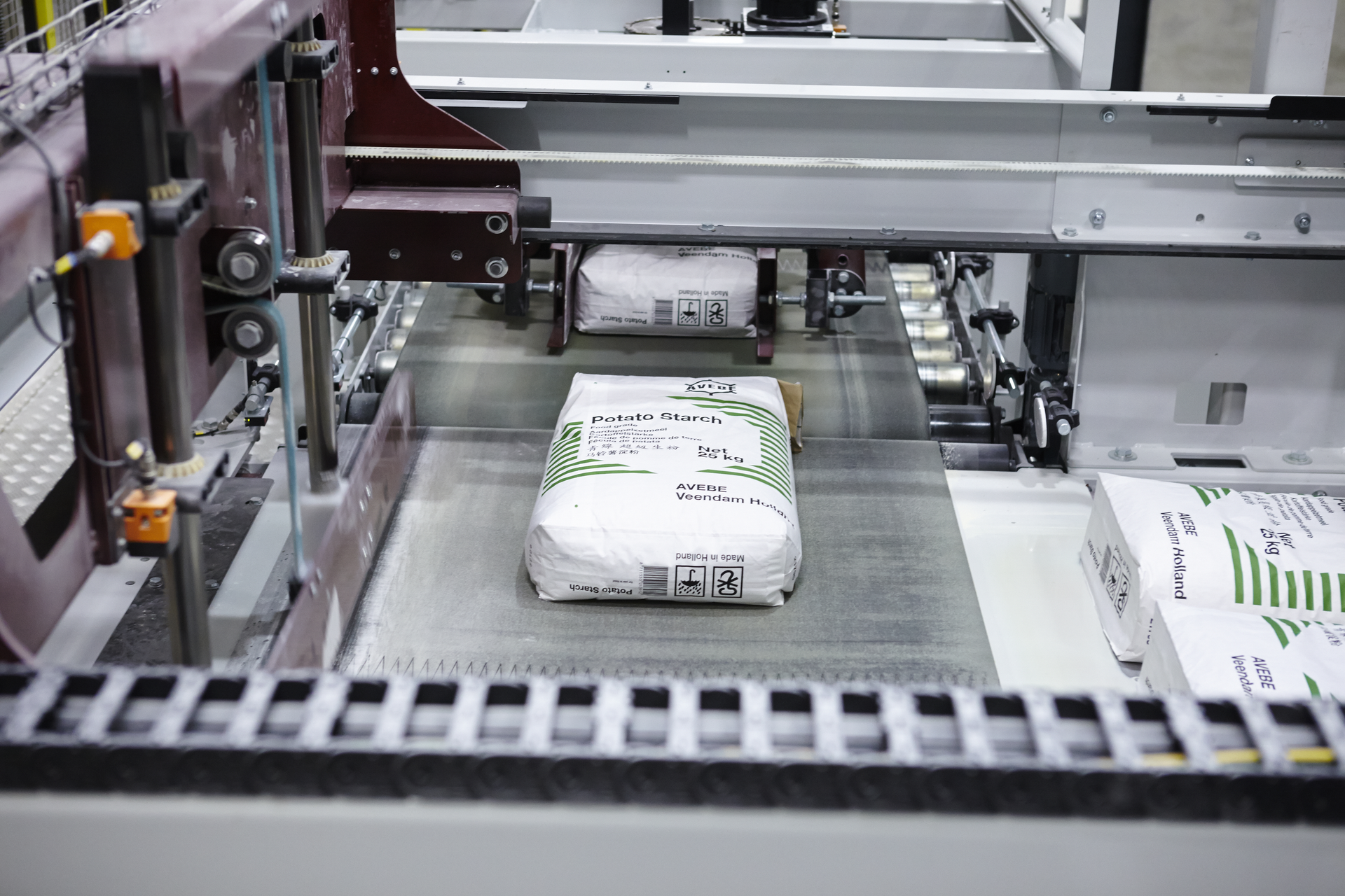 Pw 333247 Avebe Palettieren 028