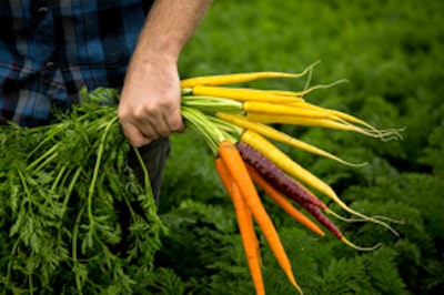 By switching from wood to ‘pooled’ pallets, the global produce company reduces solid waste, carbon emissions, and travel costs.