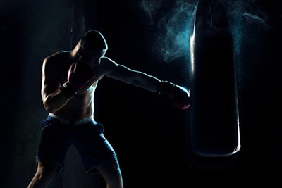 Boxer image