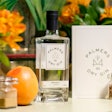A new bottle for Palmers Dry Gin celebrates the distiller’s 200th anniversary.