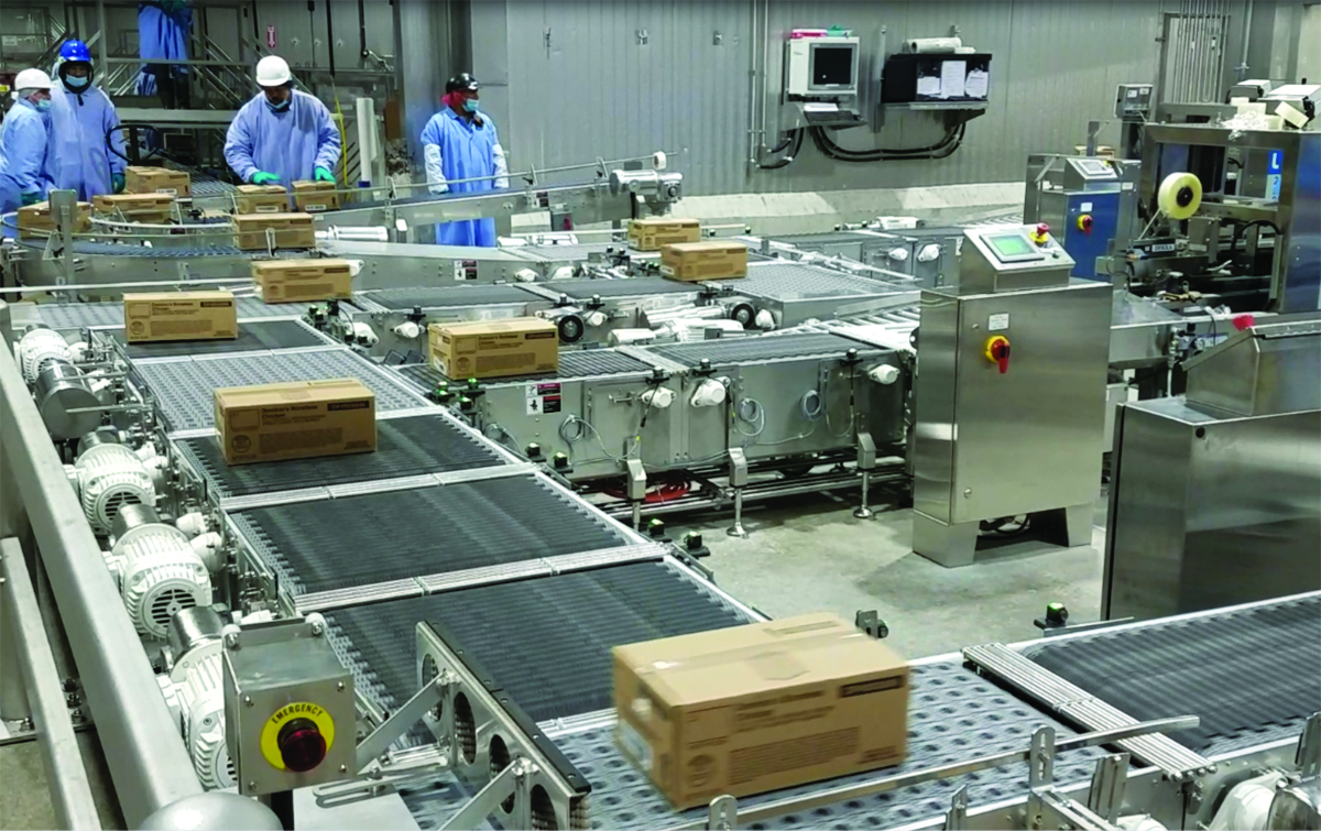 MultiConveyor Servobelt case conveyors From MultiConveyor