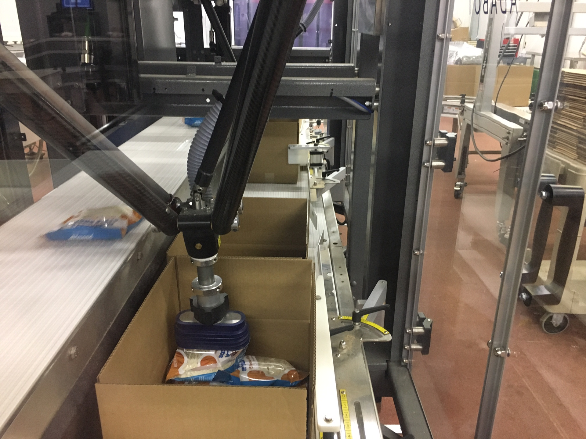 robotic case packer and palletizer