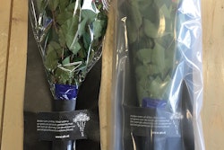 The successful application of Flexfresh™ film with Active Modified Atmospheric Packaging Technology (AMAP) earned a 2018 Dow Diamond Award Finalist finish.