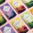 Camino, Kiva Confectionery's first-ever line of cannabis-infused gummies