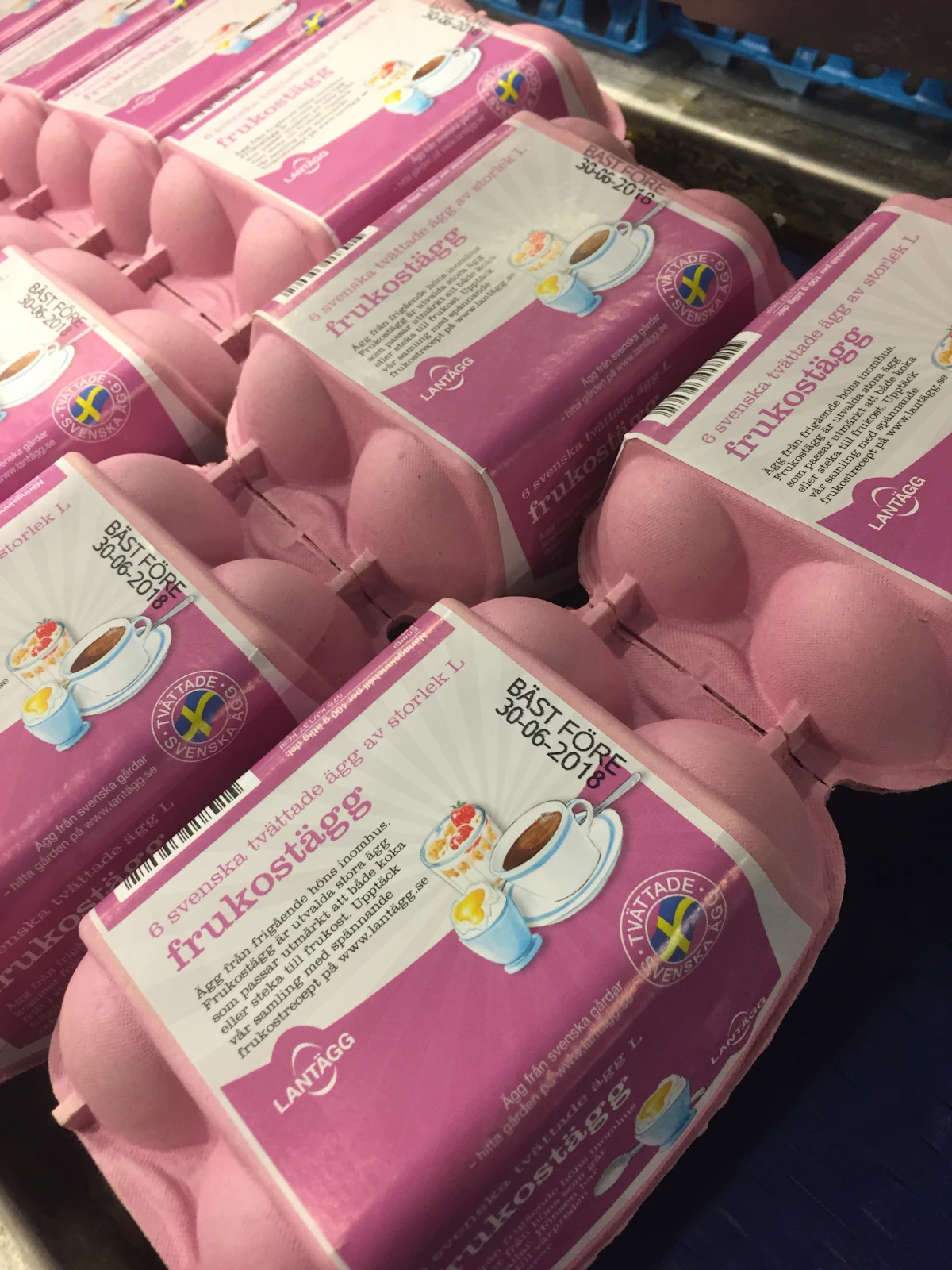 Egg processor optimizes with TIJ printer | Packaging World