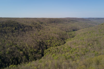The Conservation Fund recently purchased the 14,800-acre Skinner Mountain Forest in Tennessee.