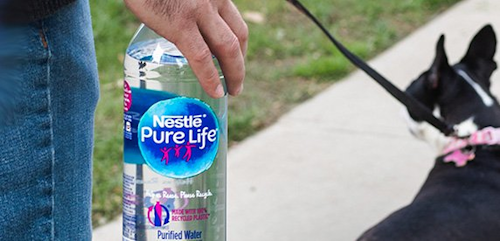 A principios de 2018 Nestlé dio a conocer la botella hecha 100 por ciento de rPET, Nestlé Pure Life®, única agua embotellada distribuida en Estados Unidos fabricada con plástico reciclado al 100 por ciento, según la compañía.