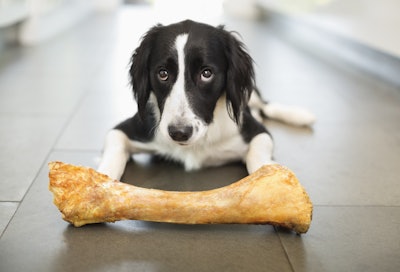 Spending on pet food continues to make up the majority of dollars spent in the industry, at $30.32 billion in 2018.