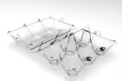 PET egg tray