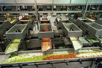La Huerta uses Key Technology&rsquo;s Iso-Flo vibratory shakers and Veg-Mix system to process and package its frozen fruits and vegetables. Photo courtesy of Key Technology.
