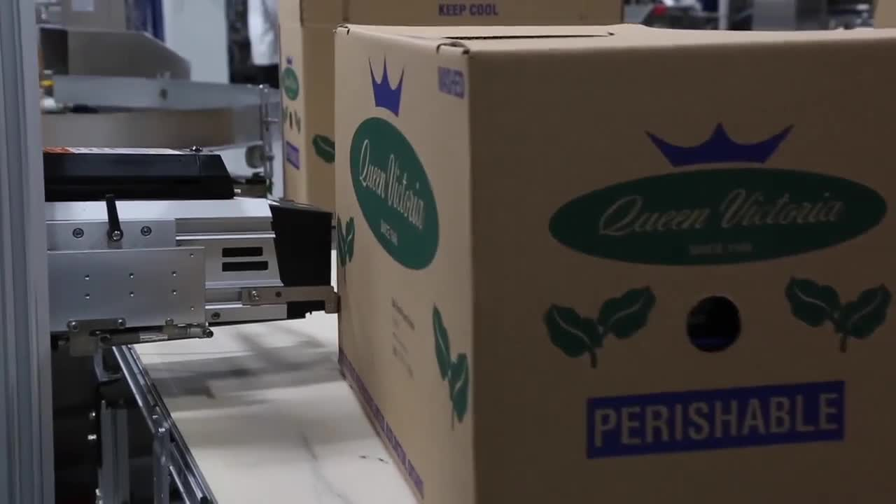 Pw 202037 Thumbnail 2 84b4bc8c V2