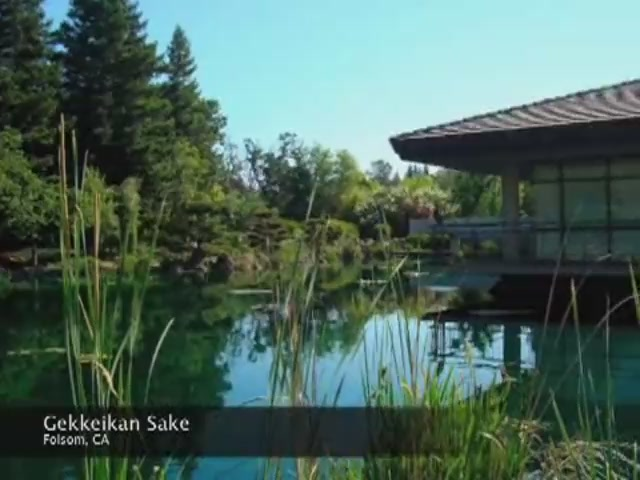 Pw 211142 Thumbnail 2 4270e156 V1