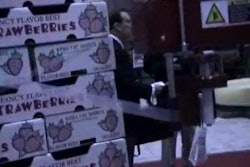 Pw 214147 Thumbnail 2 1ab6a71d V1