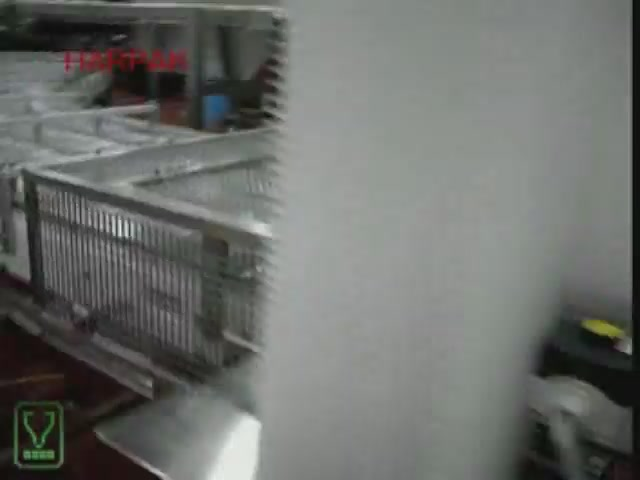 Pw 216397 Thumbnail 2 Bab4764d V3