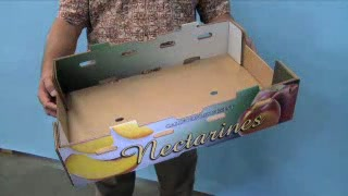 Pw 216857 Thumbnail 2 7299ae1f V1