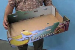 Pw 216857 Thumbnail 2 7299ae1f V1