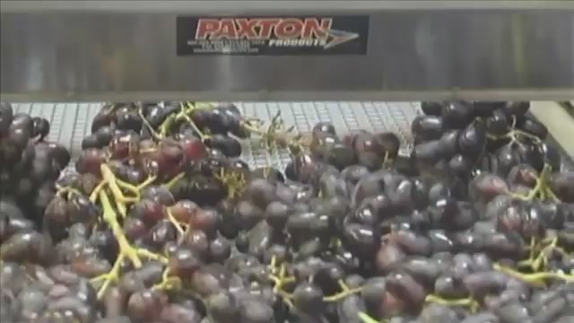 Pw 219557 Thumbnail 2 669d6107 V1