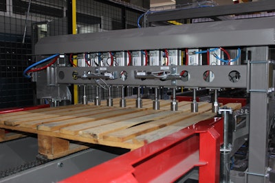 Pallet inspection system