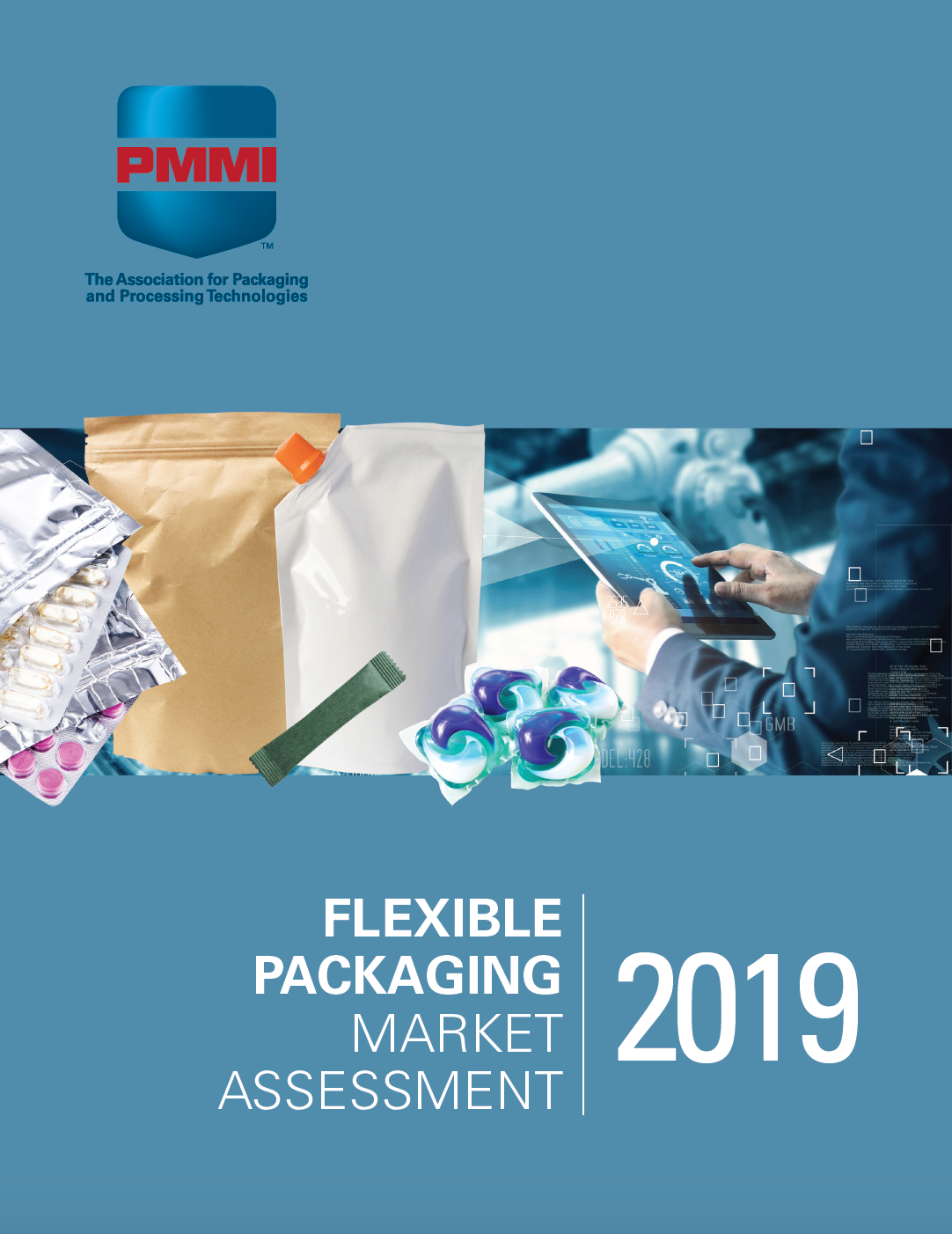 110 Flexible Pkg Market Assessment 2019