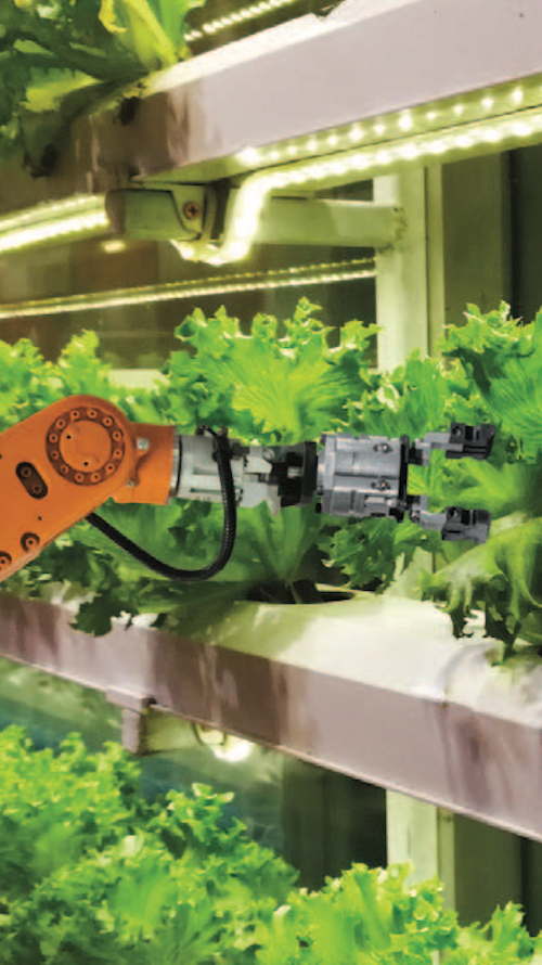 Vertical farming is one growing food trend