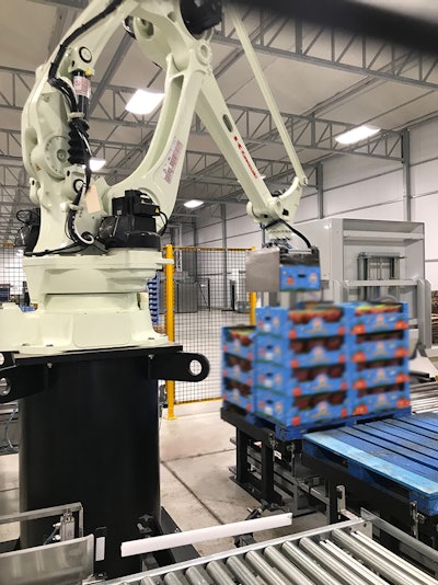 With new end-of-arm tooling designed by Caxton Mark, the Kawasaki palletizer is able to grab and stack boxes without crushing the fragile tomatoes inside.