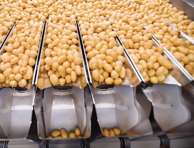 Potatoes flow from a mass formation into the machine that fills two pouches at a time by weight.